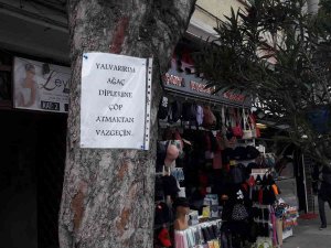 Ağaca Astığı Notla İnsanlara Çöp Atmamaları İçin Yalvardı