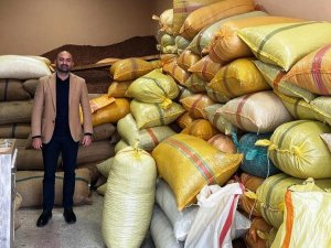 Fındık Fiyatı Serbest Piyasada Yükselişini Sürdürüyor