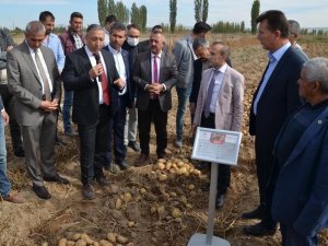 Yerli Ve Milli Patates Çiftçilere Tanıtıldı