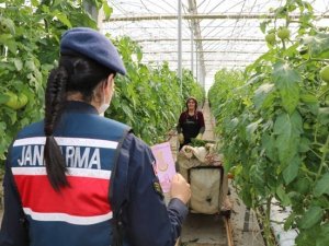 Jandarma, Kades’i Tanıttı