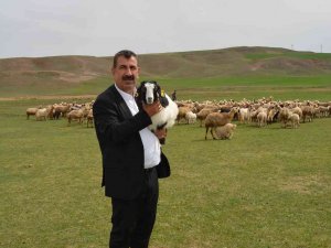 Tüdki̇yeb Genel Başkanı Çelik: “Sürü Büyütme Ve Yenileme Desteği 100 Liradan 125 Liraya, Çoban İstihdam Desteği 5 Bin Liradan 6 Bin Liraya Yükseltildi”