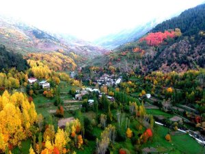 Artvin’de Sonbaharın Gelişiyle Renk Cümbüşü Yaşanıyor