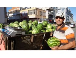Güz Karpuzu Çiftçileri Sevindirdi