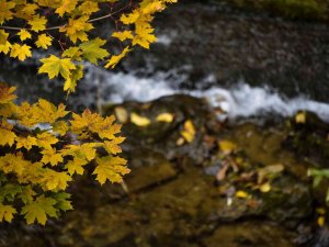 Gümüşhane’den Sonbahar Manzaraları