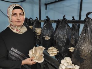 80 Tl Sermeye İle Başladı Şimdi 500 Metrekare Tesiste Üretim Yapıyor