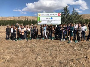 Covid-19 Nedeniyle Hayatını Kaybeden Sağlıkçılar İçin Anıt Fidan Dikildi