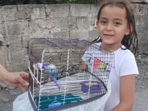 İ̇tfaiyeciler Kafesinden Kaçan Muhabbet Kuşu İçin Seferber Oldu
