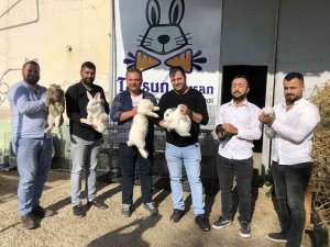 Tavşanla Hayatları Değişti