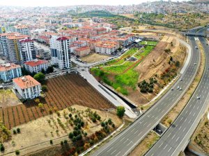 Kktc Parkı Ve Kıbrıs Şehitleri Hatıra Ormanı Açıldı