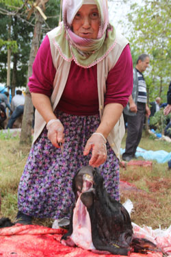 Giresun’da Bayan Kasap İş Başında