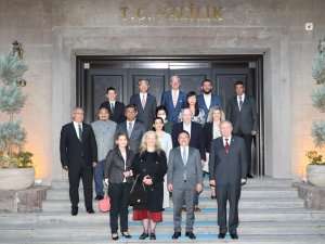 Büyükelçiler’den Vali Gökmen Çiçek’e Ziyaret