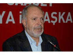Saadet Partili Canbay, Tezkereyi Değerlendirdi