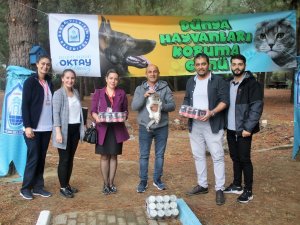 Plastik Kapaklar Canlara ’Hayat’ Oldu
