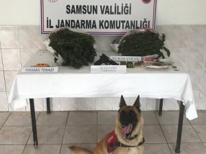 Jandarma Uyuşturucu Ve Ruhsatsız Tabanca Ele Geçirdi: 1 Gözaltı
