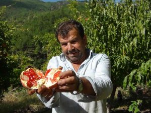 Tescilli Kuytucak Narı Üreticisinin Yüzünü Güldürdü
