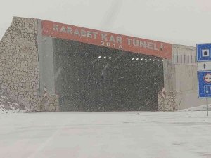 Van’da Kar Yağışı Ve Sis