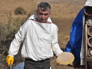 Bitlis’in Meşhur Karakovan Balının Hasadına Başlandı