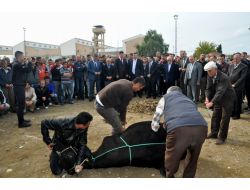 Bu Fabrika Dünyada Bir İlk