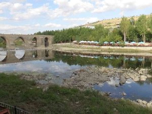 Dicle Nehri’nde Balık Ölümleri Vatandaşları Tedirgin Etti