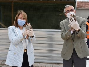 Bölgenin Tek Kınalı Keklik Üretim Tesisi İ̇nönü’de