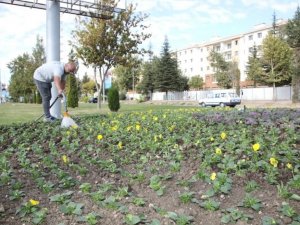 Elazığ Belediyesinden Mevsimlik Çiçek Dikimi