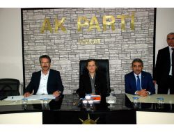 Ak Parti'de İlçe Başkanları Toplantısı