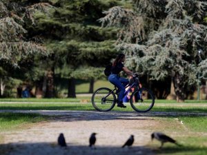 Botanik Park’ta Sonbaharla Birlikte Renkli Görüntüler