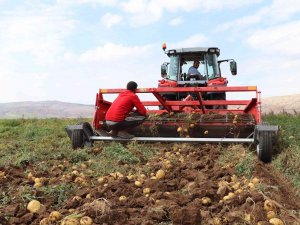 Sivas’ta Tarımsal Hasıla 7 Milyar Lirayı Aştı