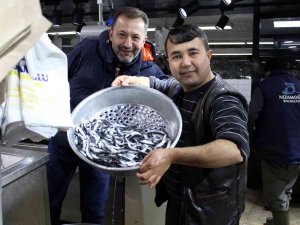 Karadeniz’deki Balık Bolluğu İ̇ç Anadolu’da Hissedilmedi