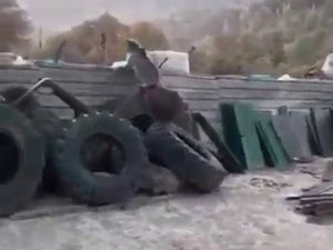 Yavru Ayılar Sanayi Sitesine İndi