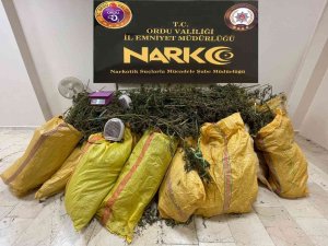 Ordu’da 150 Kilo Esrar Ele Geçti: 3 Gözaltı