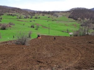 Ordu’da Üreticilere 54,5 Ton Tohum Dağıtıldı