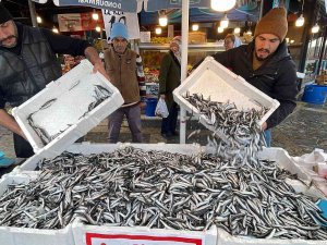 Hamsi Tezgahları Şenlendirdi, Fiyat 10 Liraya Kadar Düştü