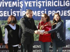 Bursa’da Üreticilere "Mavi Yemiş" Fidanı Dağıtıldı