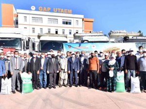 Diyarbakır’da 650 Çiftçiye 4 Milyon Lira Değerinde 210 Ton Mercimek Tohumu Desteği
