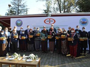 Osmanlı Çileği Fideleri Üreticilerle Buluştu, Coğrafi İşaret Aldı