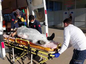 Samsun’da Kamyonun Çarptığı Kadın Ağır Yaralandı