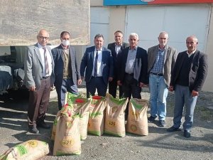 Çiftçilere Yüzde 60 Hibe Destekli Buğday Tohumu