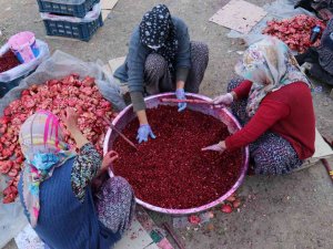 Nar Ekşisi Malatyalı Kadınların Ek Gelir Kapısı Oldu