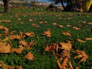 Tekirdağ’da Sonbahar Güzelliği: Sahil Alanda Renk Cümbüşü Yaşanıyor