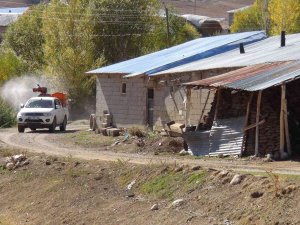 Van’da Bir Mahalleyi Pireler Bastı