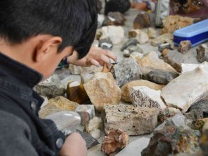 Mineraller, Kayaçlar, Ve Fosillerin Gizemi