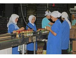 Yerli Turşunun Tadı Avrupa'yı Sardı...
