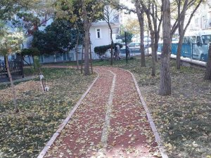 Sincan Sonbaharda Da Işıl Işıl
