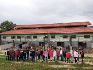 Mehmet Akif Ersoy İ̇lkokulu Öğrencileri Can Dostlarını Unutmadı