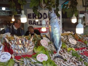 Karadeniz’de Torik Bereketi; Tanesi 300 Liraya Satılıyor
