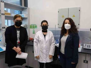 Güzelavrat Otunun Zararı Kadar Yararı Da Var