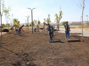 Haliliye’de Yeşil Alan Sayısı Artıyor