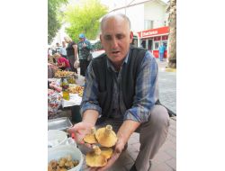 Mantar Köylüye Gelir, Vatandaşa Yemek Oluyor