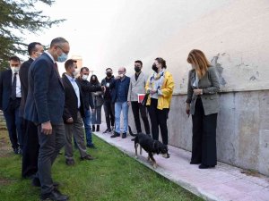 Hitit Üniversite’sinde ’Köpek Evi’ Projesi Hayata Geçirildi